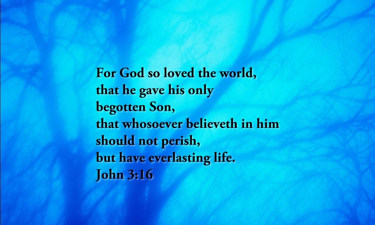 John 316 KJV Mobile Phone Wallpaper  For God so loved the world that he  gave his only