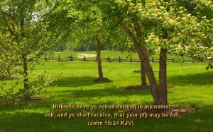 John 16:24  – Ask And You Will Receive Wallpaper