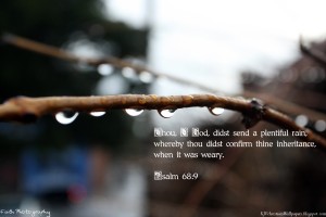 Psalm 68:9 – Abundant Showers Wallpaper