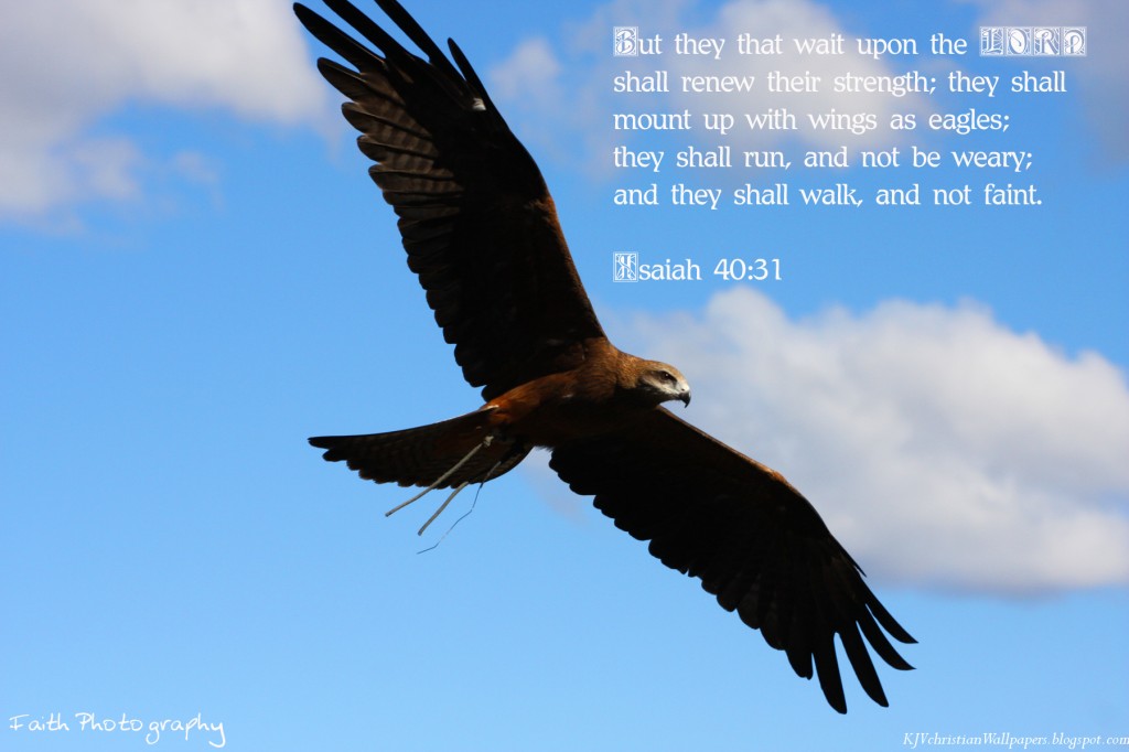 Isaiah 40:31 – Soar on Wings christian wallpaper free download. Use on PC, Mac, Android, iPhone or any device you like.