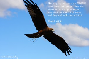 Isaiah 40:31 – Soar on Wings Wallpaper