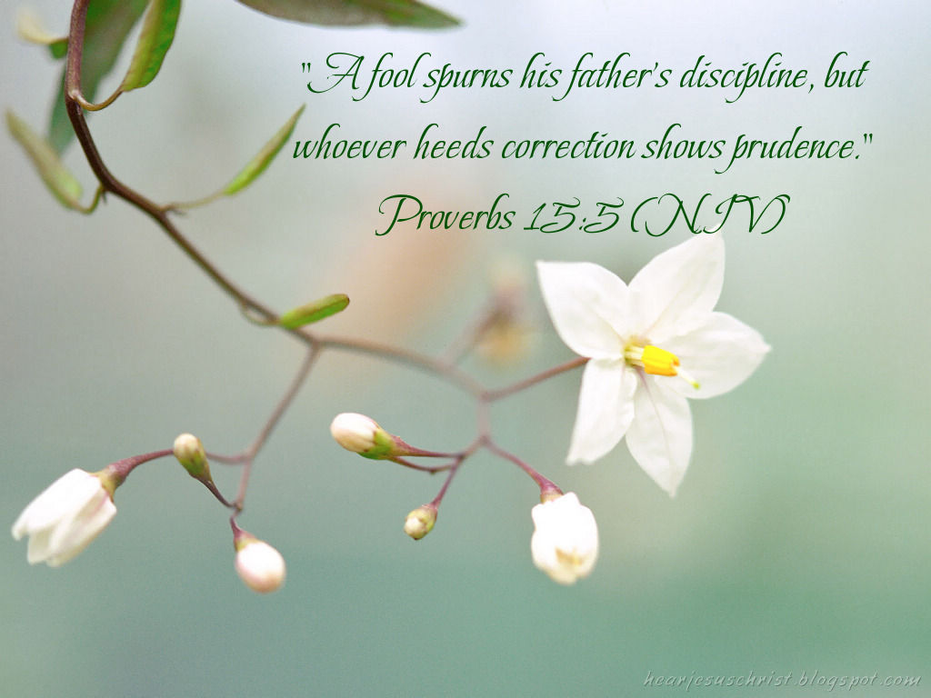 Proverbs 15:5 – Father’s Discipline christian wallpaper free download. Use on PC, Mac, Android, iPhone or any device you like.