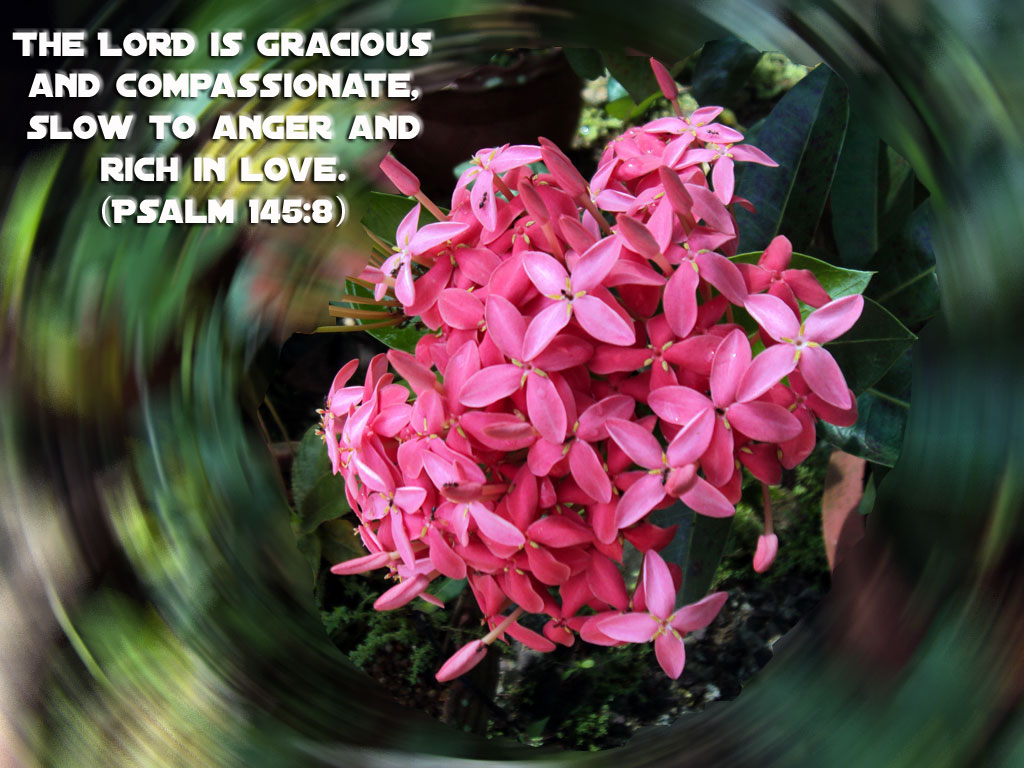 Psalm 145:8 – The Lord is gracious christian wallpaper free download. Use on PC, Mac, Android, iPhone or any device you like.