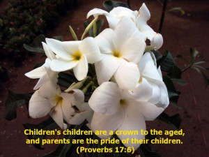 Proverbs 17:6 – Children’s children Wallpaper