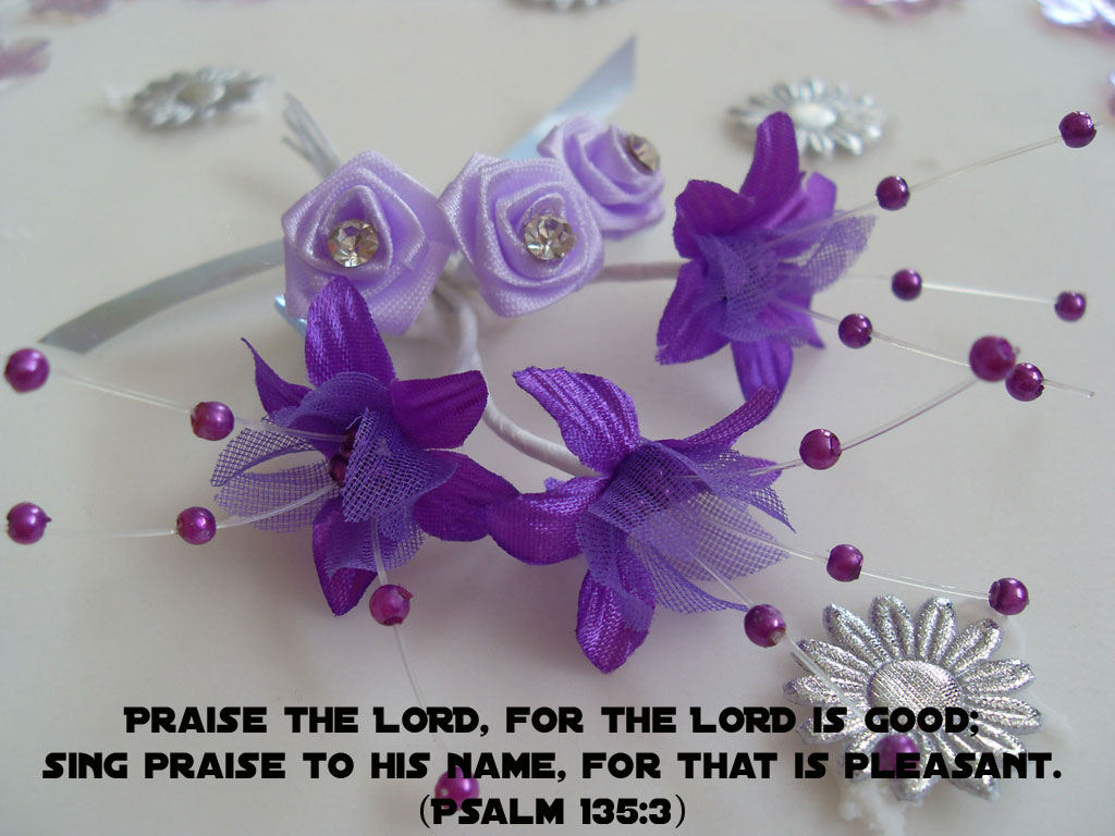 Psalm 135:3 – Praise the Lord christian wallpaper free download. Use on PC, Mac, Android, iPhone or any device you like.