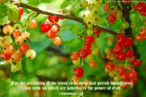 1 Corinthians 1:18 – Power of God Wallpaper