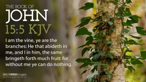 John 15:5 – I am the Vine Wallpaper
