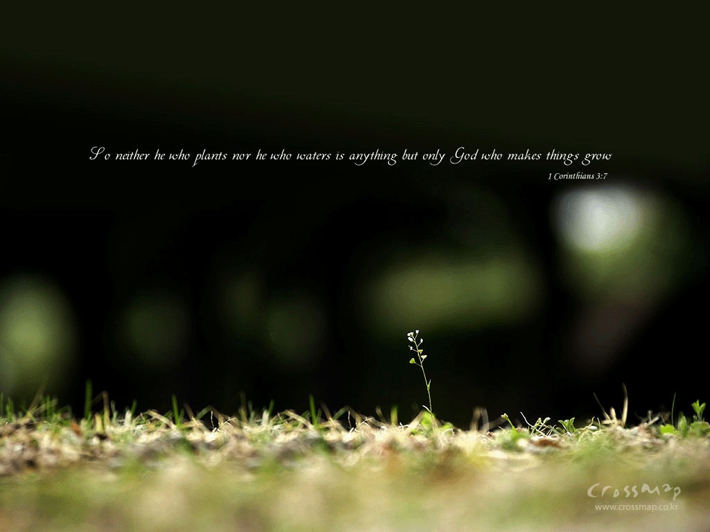 1 Corinthians 3:7 – God makes things grow christian wallpaper free download. Use on PC, Mac, Android, iPhone or any device you like.