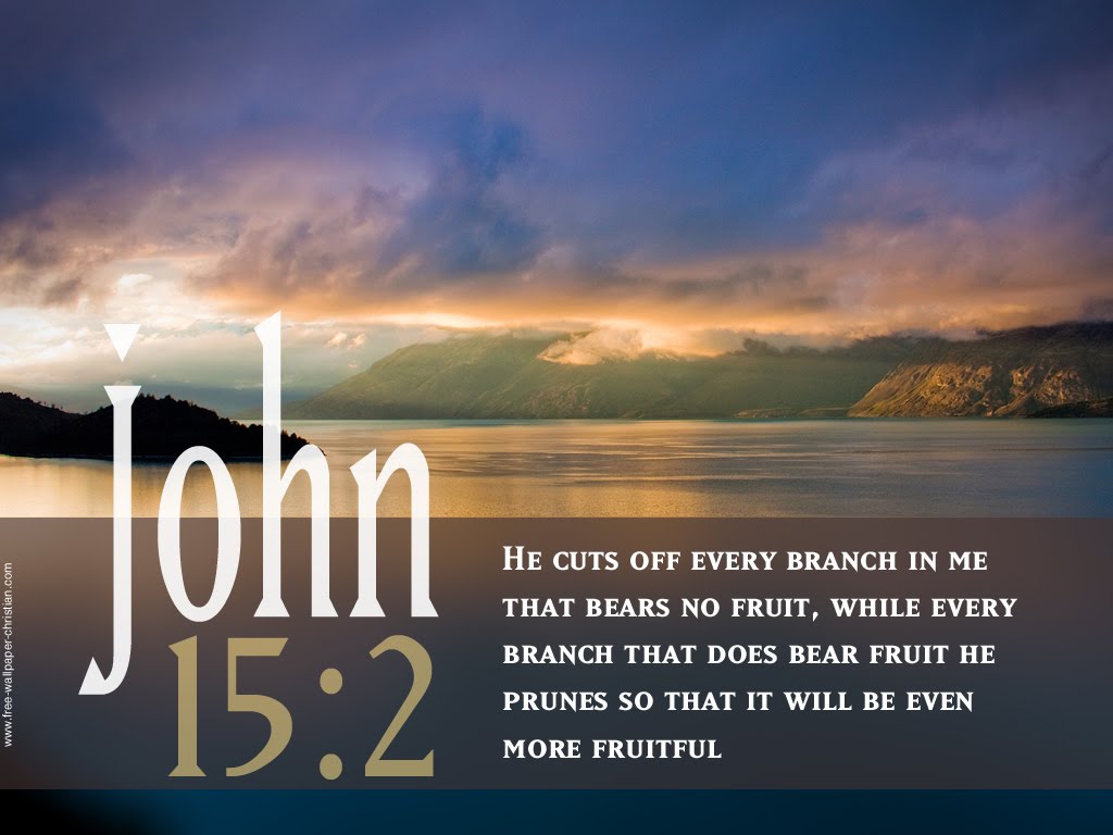 John 15:2 – Fruitful christian wallpaper free download. Use on PC, Mac, Android, iPhone or any device you like.