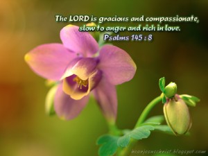 Psalm 145:8 – The Lord is gracious Wallpaper