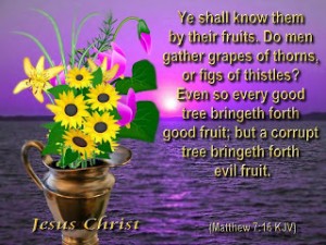 Matthew 7:16 – Good Tree Wallpaper