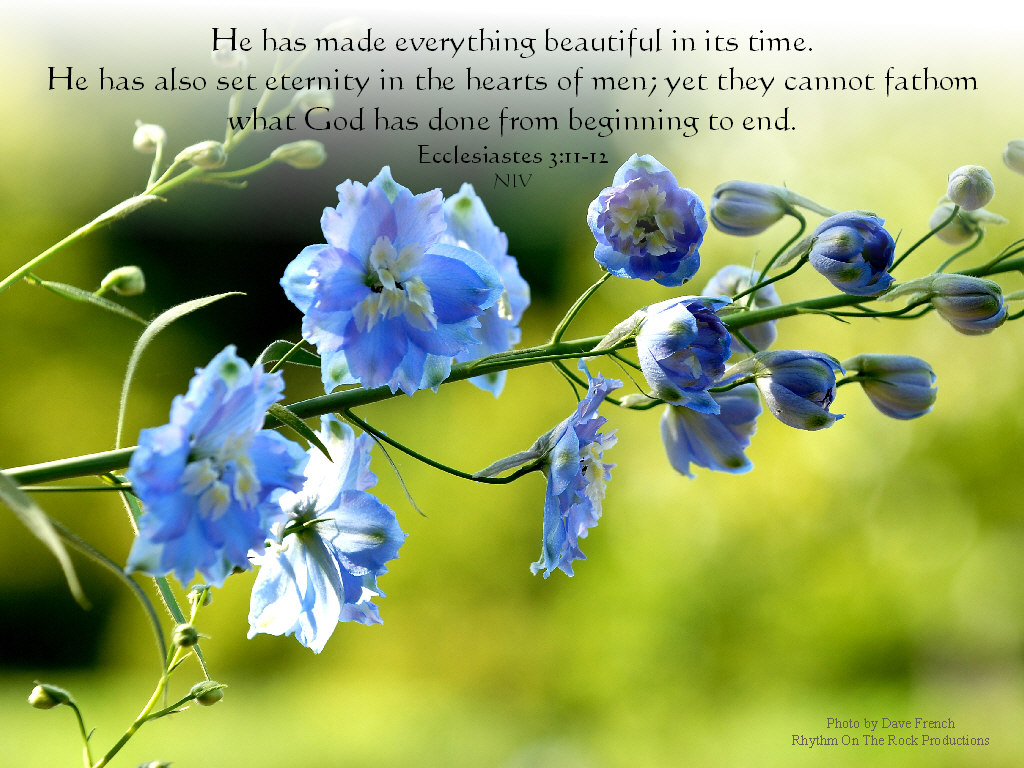 Ecclesiastes 3:11-12 – Everything  Beautiful christian wallpaper free download. Use on PC, Mac, Android, iPhone or any device you like.