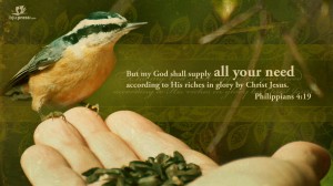 Philippians 4:19 – God shall Supply Wallpaper