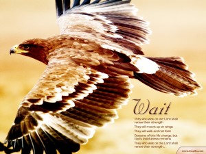 Isaiah 40:31 – Wait upon the Lord Wallpaper