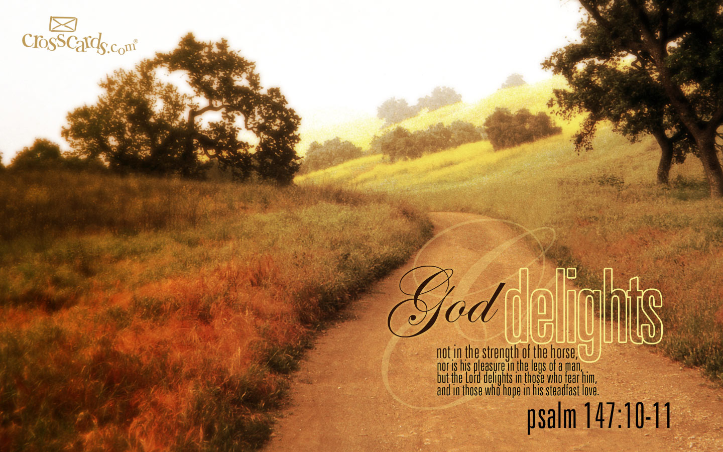Псалом 147. Pain Psalms of Extinction. Bible Psalms 150-3.