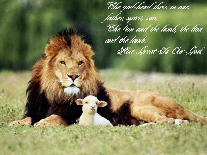 The Lion And The Lamb Wallpaper Christian Wallpapers And Backgrounds